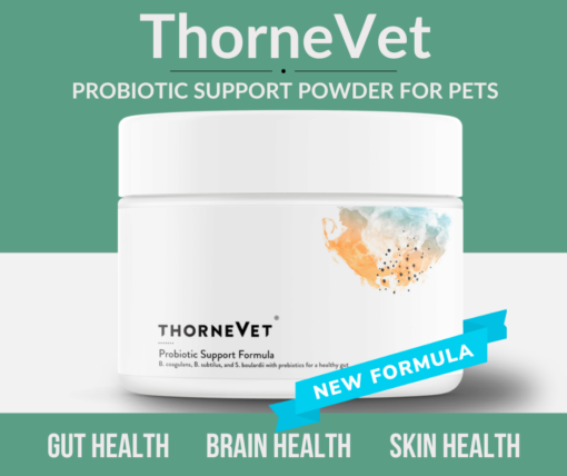 probiotics for dogs and cats