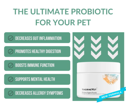 Thorne probiotic support formula